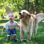 kids-with-dogs-332__700