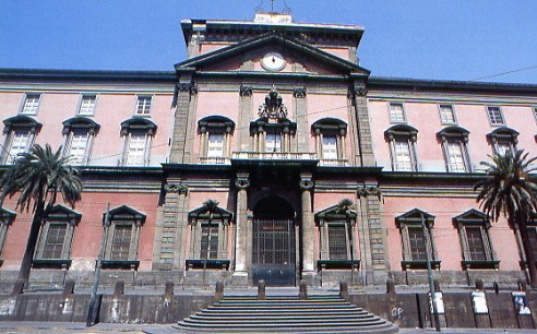 Museo madre napoli eventi