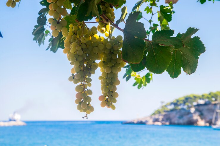 Cinque Terre: 