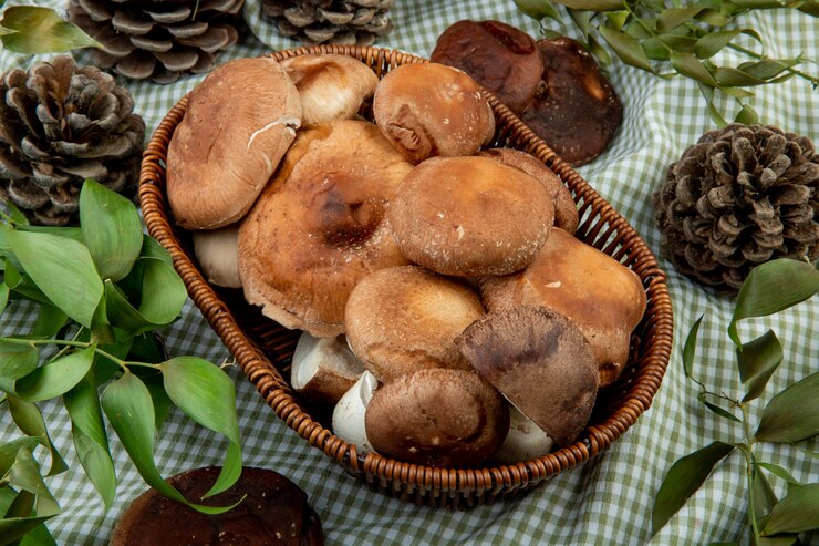 zuppa porcini e patate